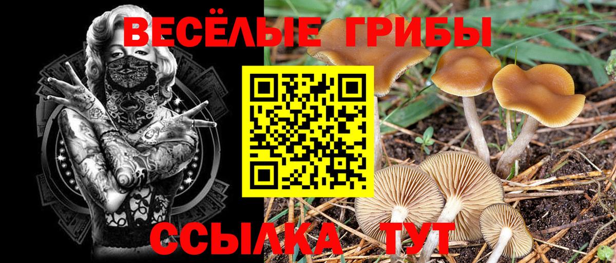 Галлюциногенные грибы GOLDEN TEACHER Реж