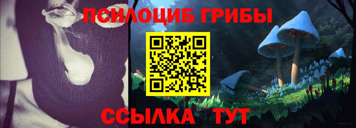 Реж  Псилоцибиновые грибы MAGIC MUSHROOMS  Псилоцибиновые грибы прущие грибы  Вход с VPN 